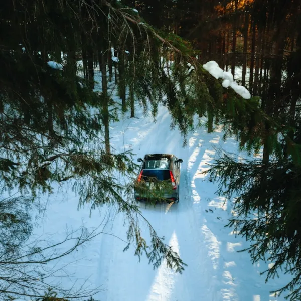 Vidzeme