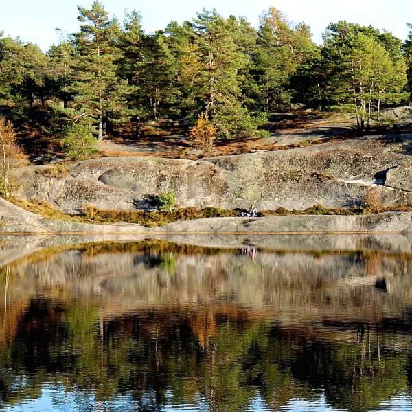 Viken