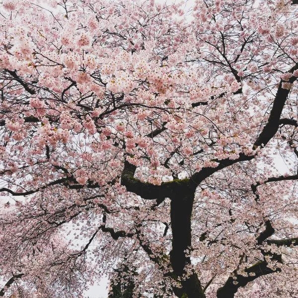 Washington