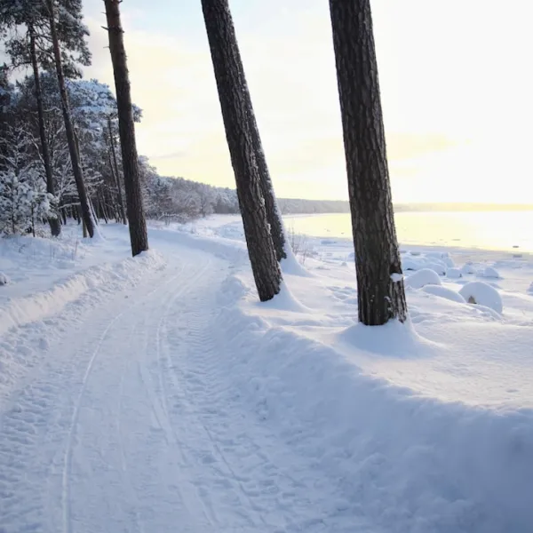 Västra Estland