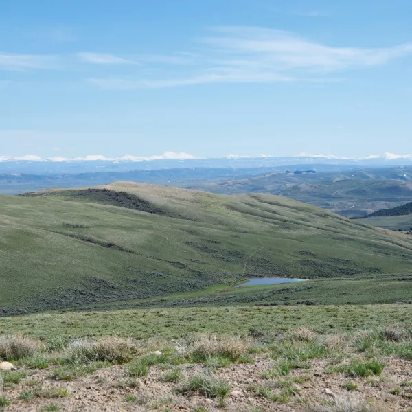 Wyoming